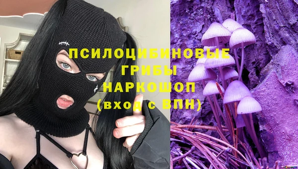 каннабис Ельня